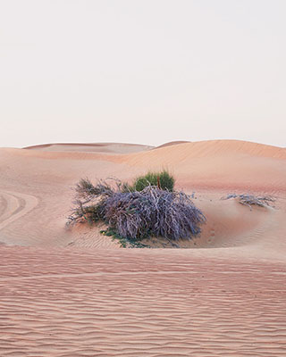 Sharjah